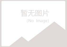 会泽县夜山咨询有限公司